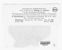 Image Associated With the Occurence